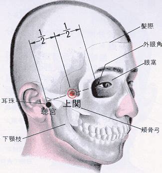 客主人 位置|醫砭 » 經穴庫 » 上關